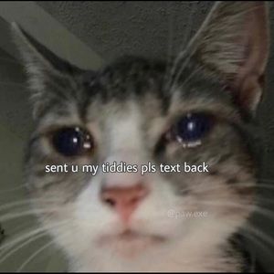 Meet your Posher, Stephen